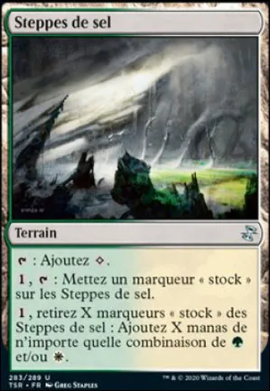 Steppes de sel
