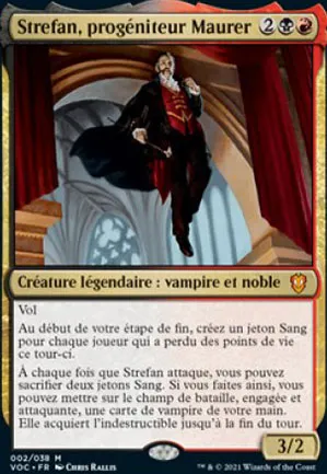 Strefan, progéniteur Maurer