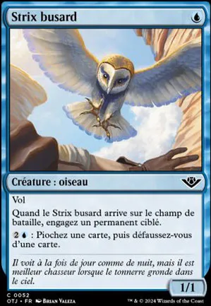Strix busard