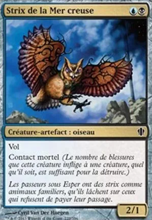 Strix de la Mer creuse