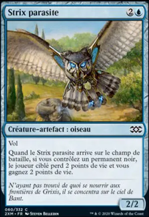 Strix parasite