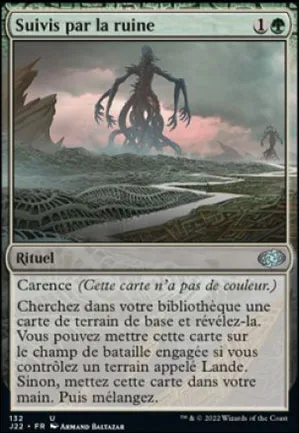 Suivis par la ruine