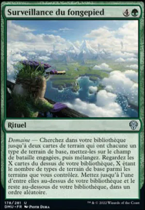 Surveillance du fongepied