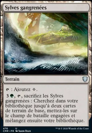 Sylves gangrenées
