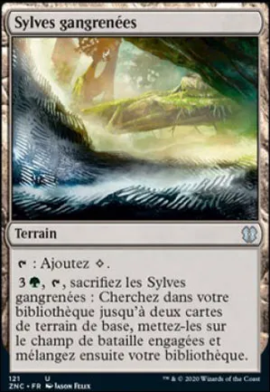 Sylves gangrenées