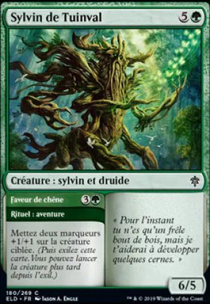 Sylvin de Tuinval // Faveur de chêne