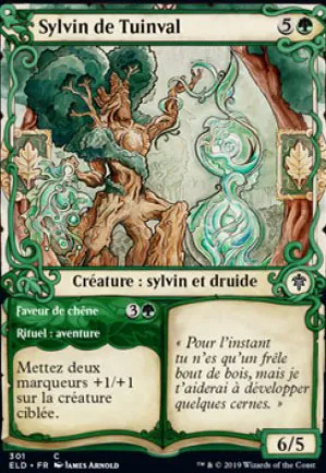 Sylvin de Tuinval // Faveur de chêne