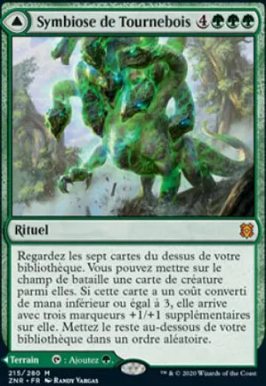 Symbiose de Tournebois // Tournebois, le bois sinueux