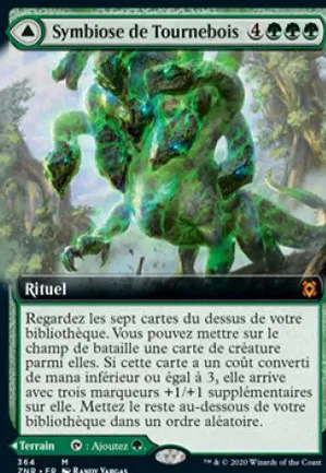 Symbiose de Tournebois // Tournebois, le bois sinueux