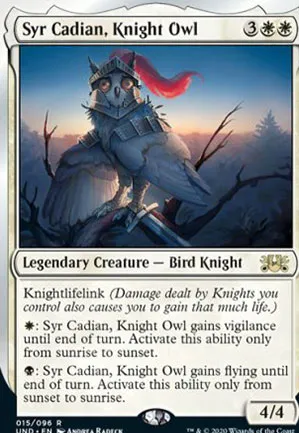 Syr Cadian, Knight Owl