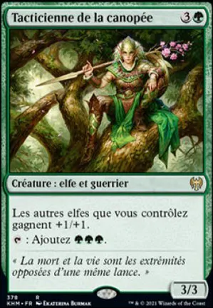 Tacticienne de la canopée