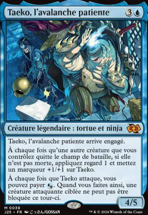 Taeko, l'avalanche patiente