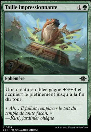 Taille impressionnante