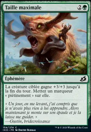 Taille maximale
