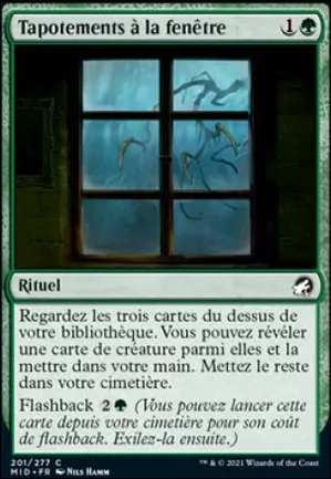 Tapotements à la fenêtre