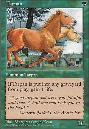 Tarpan