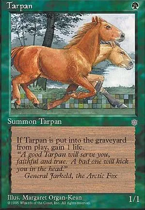 Tarpan