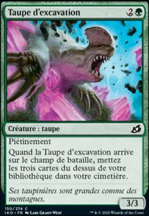 Taupe d'excavation