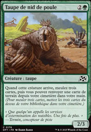 Taupe de nid de poule