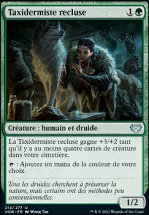 Taxidermiste recluse