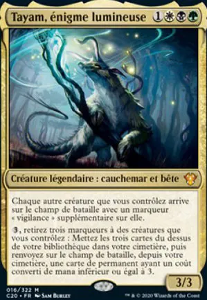 Tayam, énigme lumineuse