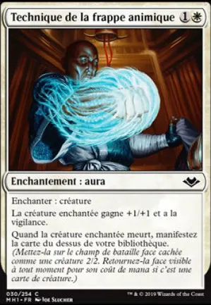 Technique de la frappe animique
