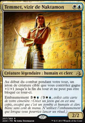 Temmet, vizir de Naktamon