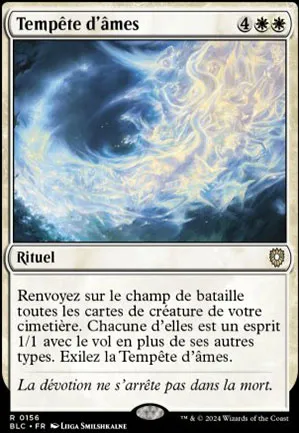 Tempête d'âmes