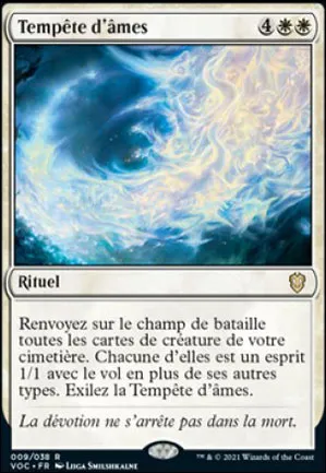 Tempête d'âmes