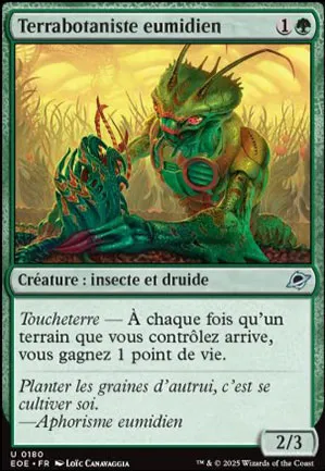 Terrabotaniste eumidien