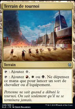 Terrain de tournoi