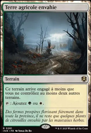 Terre agricole envahie