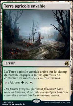 Terre agricole envahie