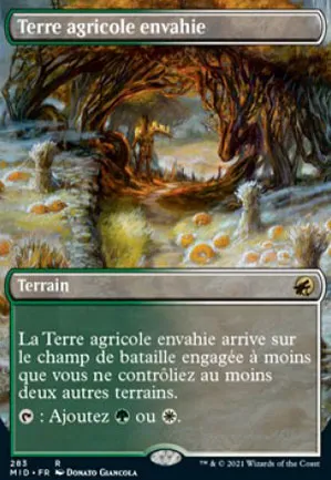 Terre agricole envahie
