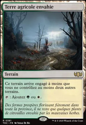 Terre agricole envahie