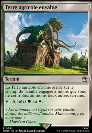 Terre agricole envahie