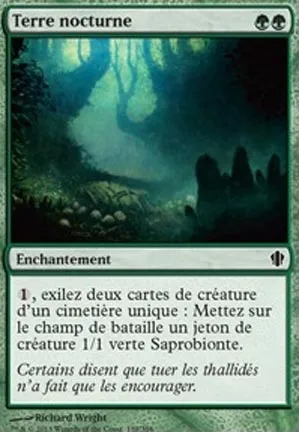 Terre nocturne