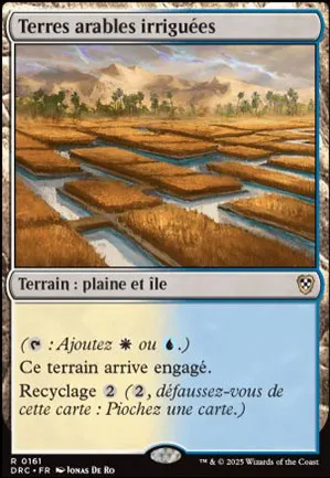 Terres arables irriguées