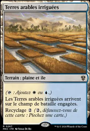 Terres arables irriguées