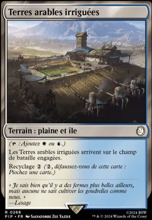 Terres arables irriguées