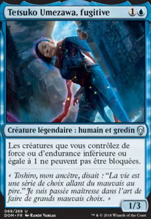 Tetsuko Umezawa, fugitive