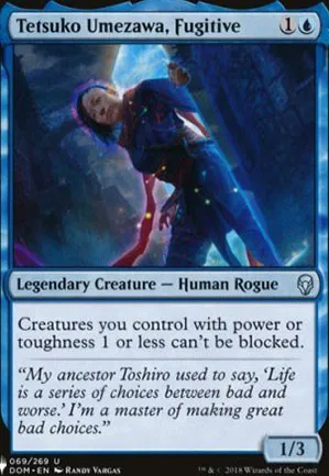 Tetsuko Umezawa, fugitive