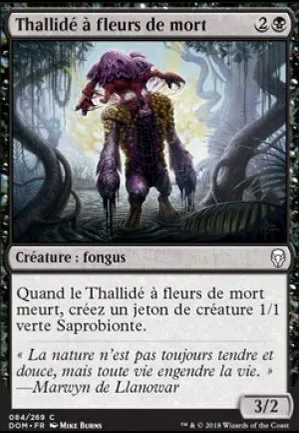 Thallidé à fleurs de mort
