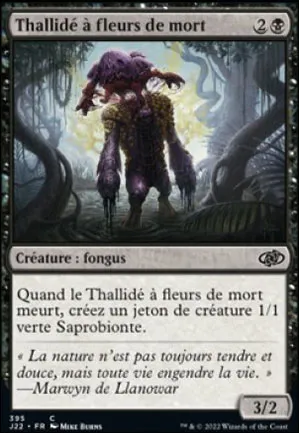 Thallidé à fleurs de mort