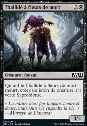 Thallidé à fleurs de mort