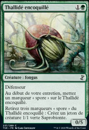 Thallidé encoquillé