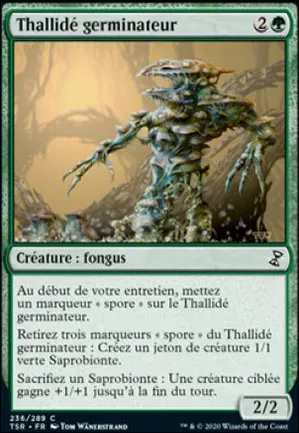 Thallidé germinateur