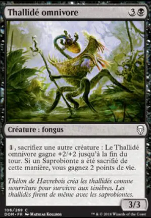 Thallidé omnivore