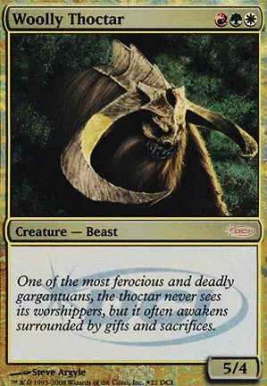 Thoctar laineux