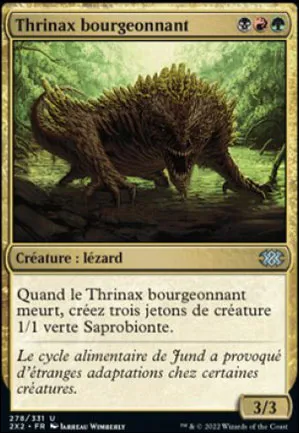 Thrinax bourgeonnant